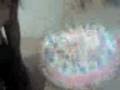 pAstEl 1*