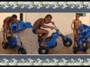 Família Candanga Família Candanga