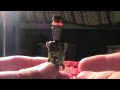Star Wars Custom Lego Droid
