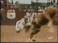 Head Stomping Rodeo Fun