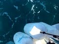 Fishing for Halibut