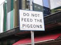 Chrisp Street Market - Things to Improve