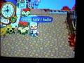 videos de Wii Animal Crossing - mi perro escribiendo (My Dog chat)