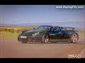Carrera GT Tribute