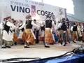 BAILE LITUANO CONJUNTO INFANTIL SKAIDRA