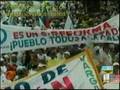 Palangristas en noticieros españoles, Constitucion Venezuela