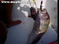 Acar ve Sedat Deepfishing ile Sinarit av?nda