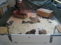 08-02-2012 - Morning play.....