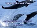 THE ESCAPIST, Nightwish, Dark Passion Play Bonus Track