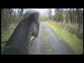 ILDRA Pleasure Ride at Gosford Park