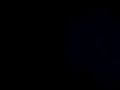 A1