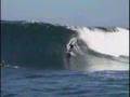 Surfing At Shipstearns