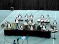 Premier Drumcorps CGN Finals 2008