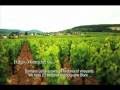 videos de Domaine Leflaive: A Path to Follow