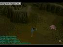 The giant mole hunt part 2! 1/3