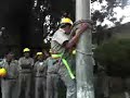 apedreando al abuelo de electricidad f-47 del fischmann