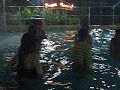 team building, July 18, 2008