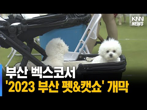 부산 벡스코서'2023 부산 펫&캣쇼' 개막