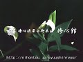 TAMESHIGIRI?Lily?