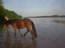 saph en balade sur la loire