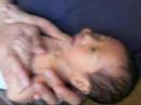 Baby Warren\ Baby Warren\