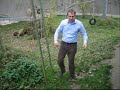 Meinrad oder Affe: Meinrad klettert