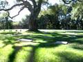 videos de Edie Sedgwick's Grave In Oak Hill Cemetery