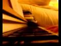 videos de Accidental babies cover - damien rice