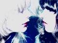 Brian Jonestown Massacre - Photographs