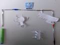 videos de Japanese bug fight
