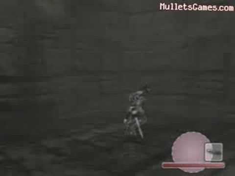 Shadow of the Colossus