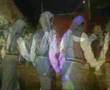 arap�a