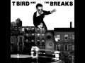 T Bird and the Breaks - Blackberry Brandy off Learn About It