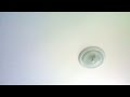 น้องพลอย พรรชิตา ติวน้อง ป. 5 - YouTube