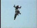 travis pastrana