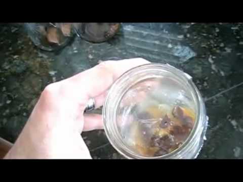 how to control gnats and fruit flies