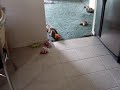MOV00499.MPG