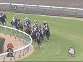 2009年12月5日 イルミネーションジャンプS ムーンレスナイト