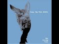 Sunny Day Real Estate-Rain Song