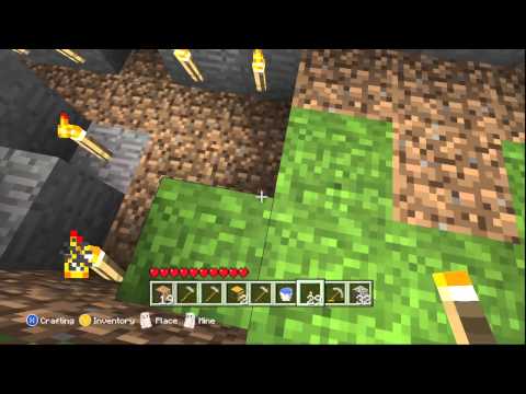 how to grow grass in minecraft xbox 360