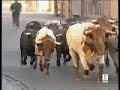 2� Encierro San Fermin 2008