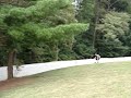 Downhill skate Downhill skate