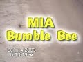 Awesome Flights! The MIA Bumble Bee Sub-Micro Heli