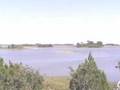 Cedar Key Florida Island Real Estate