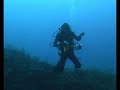 Blu Shark - Secca di Miseno