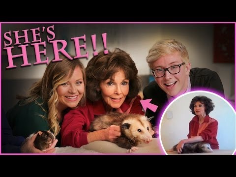 Top That! | How to Massage an Opossum | Viral All Stars