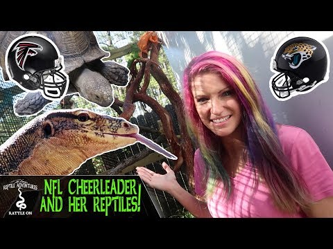 YouTube reptile video