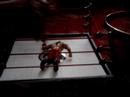cena wwe