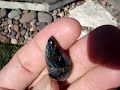 Pietersite cabochon #1