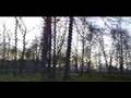 2008 m. Kur&Aring;&iexcl;&Auml;�n&Aring;&sup3; kalendorius video